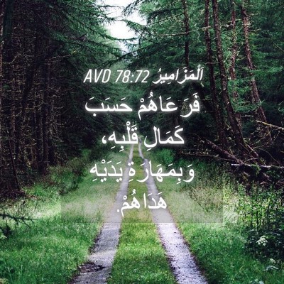 Picture 04 - اَلْمَزَامِيرُ 78:72 AVD - فَرَعَاهُمْ حَسَبَ - Bible Verse Picture