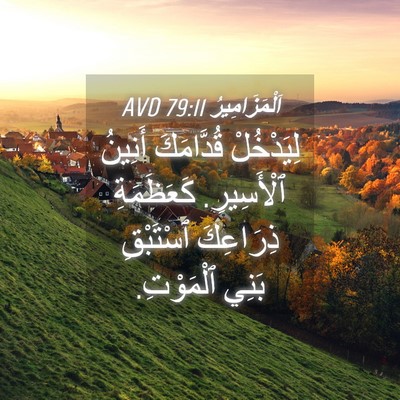 Picture 04 - اَلْمَزَامِيرُ 79:11 AVD - لِيَدْخُلْ قُدَّامَكَ - Bible Verse Picture