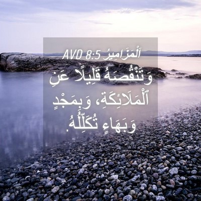 Picture 04 - اَلْمَزَامِيرُ 8:5 AVD - وَتَنْقُصَهُ قَلِيلًا - Bible Verse Picture