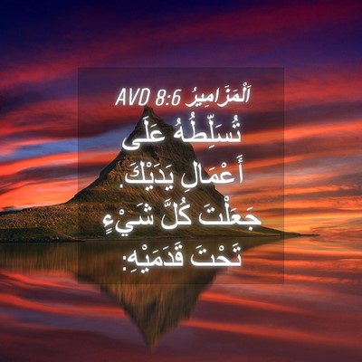 Picture 04 - اَلْمَزَامِيرُ 8:6 AVD - تُسَلِّطُهُ عَلَى - Bible Verse Picture