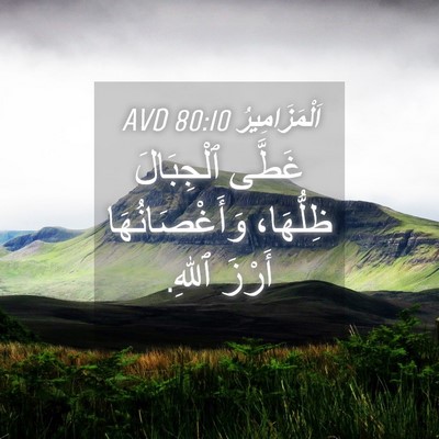 Picture 04 - اَلْمَزَامِيرُ 80:10 AVD - غَطَّى ٱلْجِبَالَ - Bible Verse Picture
