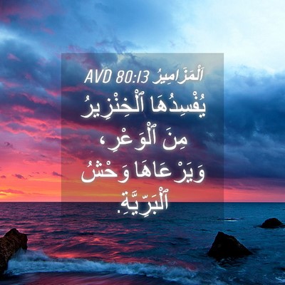 Picture 04 - اَلْمَزَامِيرُ 80:13 AVD - يُفْسِدُهَا ٱلْخِنْزِيرُ - Bible Verse Picture