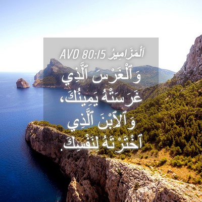 Picture 04 - اَلْمَزَامِيرُ 80:15 AVD - وَٱلْغَرْسَ ٱلَّذِي - Bible Verse Picture