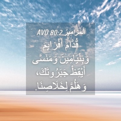Picture 04 - اَلْمَزَامِيرُ 80:2 AVD - قُدَّامَ أَفْرَايِمَ - Bible Verse Picture