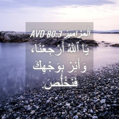 Picture 04 - اَلْمَزَامِيرُ 80:3 AVD - يَا ٱللهُ أَرْجِعْنَا، - Bible Verse Picture