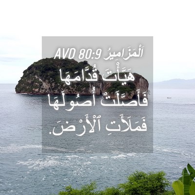 Picture 04 - اَلْمَزَامِيرُ 80:9 AVD - هَيَّأْتَ قُدَّامَهَا - Bible Verse Picture