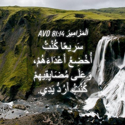 Picture 04 - اَلْمَزَامِيرُ 81:14 AVD - سَرِيعًا كُنْتُ أُخْضِعُ - Bible Verse Picture
