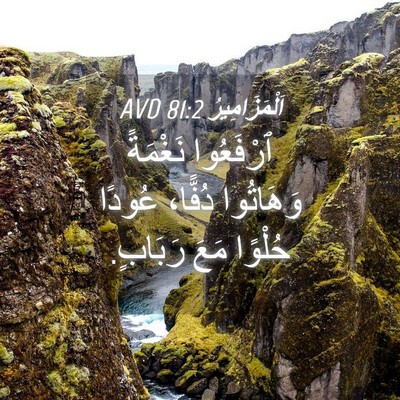 Picture 04 - اَلْمَزَامِيرُ 81:2 AVD - ٱرْفَعُوا نَغْمَةً - Bible Verse Picture