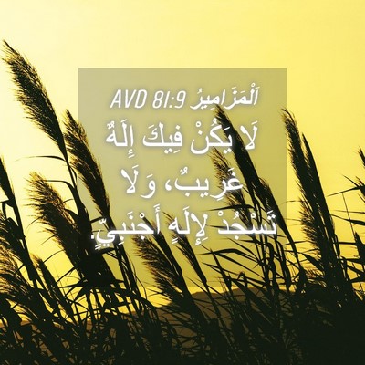 Picture 04 - اَلْمَزَامِيرُ 81:9 AVD - لَا يَكُنْ فِيكَ إِلَهٌ - Bible Verse Picture