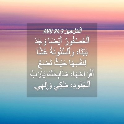 Picture 04 - اَلْمَزَامِيرُ 84:3 AVD - ٱلْعُصْفُورُ أَيْضًا - Bible Verse Picture
