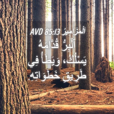 Picture 04 - اَلْمَزَامِيرُ 85:13 AVD - ٱلْبِرُّ قُدَّامَهُ - Bible Verse Picture