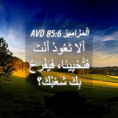 Picture 04 - اَلْمَزَامِيرُ 85:6 AVD - أَلَا تَعُودُ أَنْتَ - Bible Verse Picture