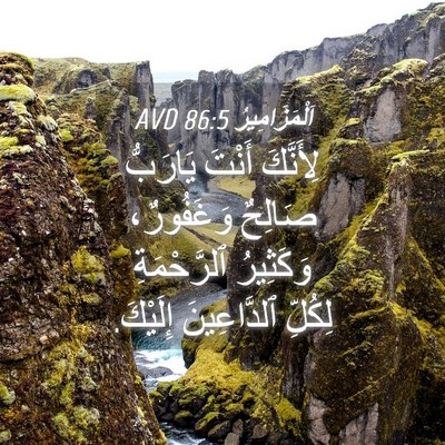 Picture 04 - اَلْمَزَامِيرُ 86:5 AVD - لِأَنَّكَ أَنْتَ يَارَبُّ - Bible Verse Picture
