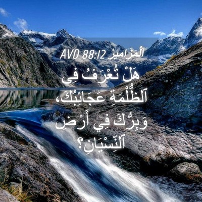 Picture 04 - اَلْمَزَامِيرُ 88:12 AVD - هَلْ تُعْرَفُ فِي - Bible Verse Picture