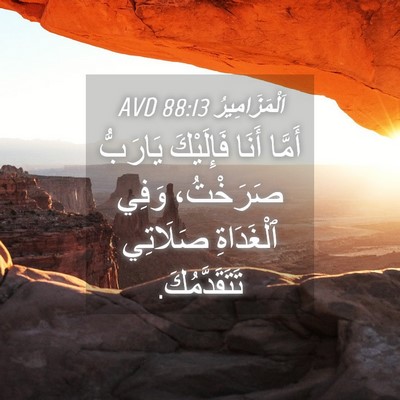 Picture 04 - اَلْمَزَامِيرُ 88:13 AVD - أَمَّا أَنَا فَإِلَيْكَ - Bible Verse Picture