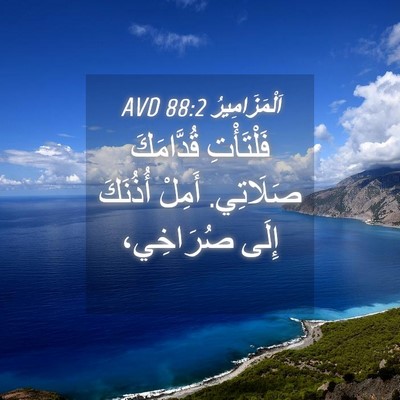 Picture 04 - اَلْمَزَامِيرُ 88:2 AVD - فَلْتَأْتِ قُدَّامَكَ - Bible Verse Picture
