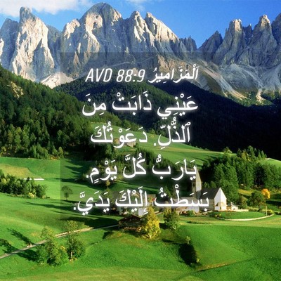 Picture 04 - اَلْمَزَامِيرُ 88:9 AVD - عَيْنِي ذَابَتْ مِنَ - Bible Verse Picture