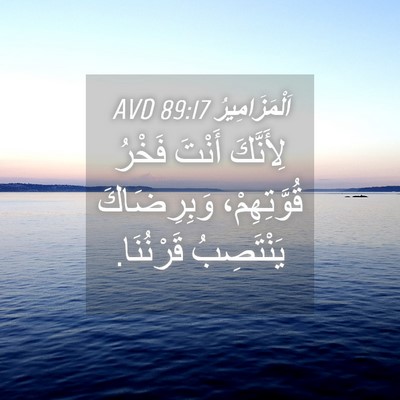 Picture 04 - اَلْمَزَامِيرُ 89:17 AVD - لِأَنَّكَ أَنْتَ فَخْرُ - Bible Verse Picture