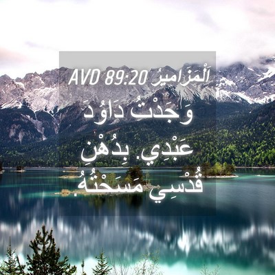 Picture 04 - اَلْمَزَامِيرُ 89:20 AVD - وَجَدْتُ دَاوُدَ عَبْدِي. - Bible Verse Picture