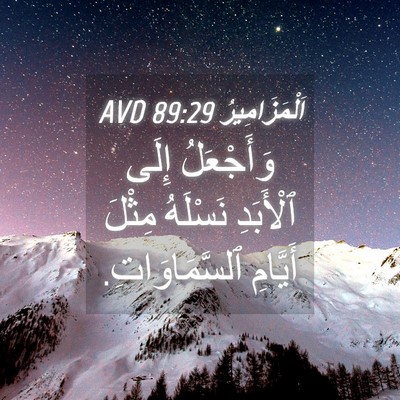 Picture 04 - اَلْمَزَامِيرُ 89:29 AVD - وَأَجْعَلُ إِلَى - Bible Verse Picture