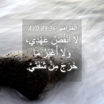 Picture 04 - اَلْمَزَامِيرُ 89:34 AVD - لَا أَنْقُضُ عَهْدِي، - Bible Verse Picture