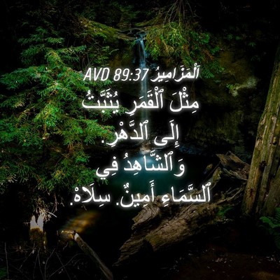 Picture 04 - اَلْمَزَامِيرُ 89:37 AVD - مِثْلَ ٱلْقَمَرِ - Bible Verse Picture