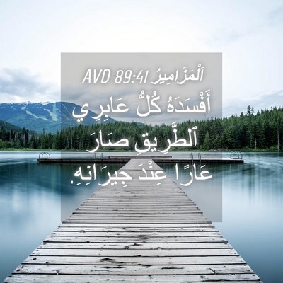 Picture 04 - اَلْمَزَامِيرُ 89:41 AVD - أَفْسَدَهُ كُلُّ عَابِرِي - Bible Verse Picture