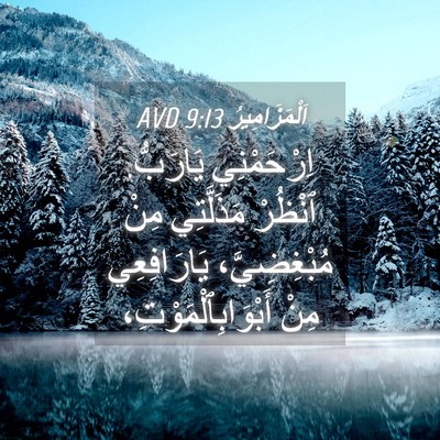 Picture 04 - اَلْمَزَامِيرُ 9:13 AVD - اِرْحَمْنِي يَارَبُّ. - Bible Verse Picture