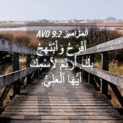 Picture 04 - اَلْمَزَامِيرُ 9:2 AVD - أَفْرَحُ وَأَبْتَهِجُ - Bible Verse Picture
