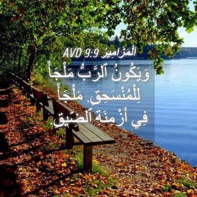 Picture 04 - اَلْمَزَامِيرُ 9:9 AVD - وَيَكُونُ ٱلرَّبُّ - Bible Verse Picture