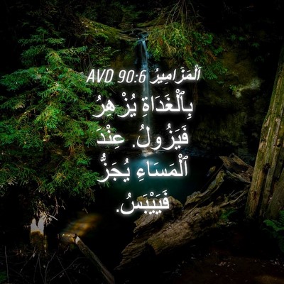 Picture 04 - اَلْمَزَامِيرُ 90:6 AVD - بِٱلْغَدَاةِ يُزْهِرُ - Bible Verse Picture