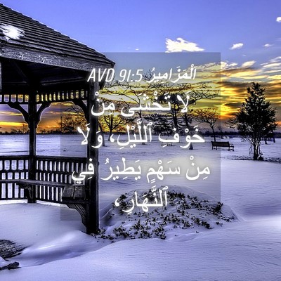 Picture 04 - اَلْمَزَامِيرُ 91:5 AVD - لَا تَخْشَى مِنْ خَوْفِ - Bible Verse Picture