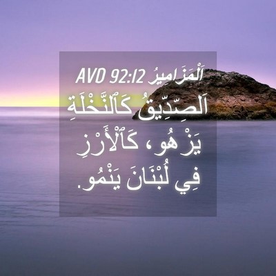 Picture 04 - اَلْمَزَامِيرُ 92:12 AVD - اَلصِّدِّيقُ - Bible Verse Picture