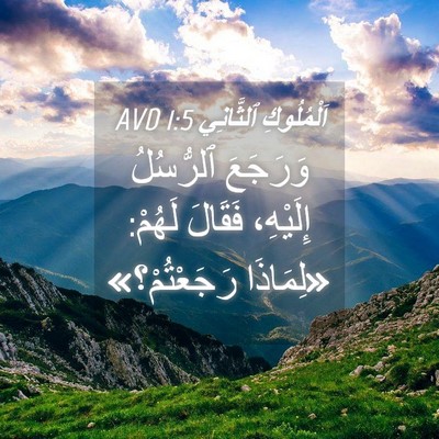 Picture 04 - اَلْمُلُوكِ ٱلثَّانِي 1:5 AVD - وَرَجَعَ ٱلرُّسُلُ - Bible Verse Picture