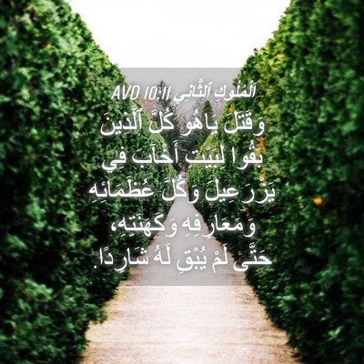 Picture 04 - اَلْمُلُوكِ ٱلثَّانِي 10:11 AVD - وَقَتَلَ يَاهُو كُلَّ - Bible Verse Picture