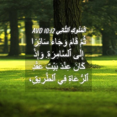 Picture 04 - اَلْمُلُوكِ ٱلثَّانِي 10:12 AVD - ثُمَّ قَامَ وَجَاءَ - Bible Verse Picture