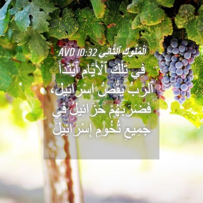 Picture 04 - اَلْمُلُوكِ ٱلثَّانِي 10:32 AVD - فِي تِلْكَ ٱلْأَيَّامِ - Bible Verse Picture