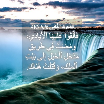 Picture 04 - اَلْمُلُوكِ ٱلثَّانِي 11:16 AVD - فَأَلْقَوْا عَلَيْهَا - Bible Verse Picture
