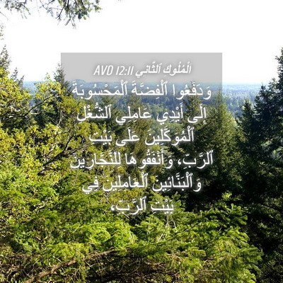 Picture 04 - اَلْمُلُوكِ ٱلثَّانِي 12:11 AVD - وَدَفَعُوا ٱلْفِضَّةَ - Bible Verse Picture