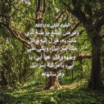 Picture 04 - اَلْمُلُوكِ ٱلثَّانِي 13:14 AVD - وَمَرِضَ أَلِيشَعُ - Bible Verse Picture
