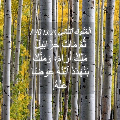 Picture 04 - اَلْمُلُوكِ ٱلثَّانِي 13:24 AVD - ثُمَّ مَاتَ حَزَائِيلُ - Bible Verse Picture