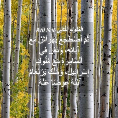 Picture 04 - اَلْمُلُوكِ ٱلثَّانِي 14:16 AVD - ثُمَّ ٱضْطَجَعَ يَهُوآشُ - Bible Verse Picture