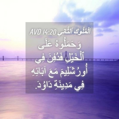 Picture 04 - اَلْمُلُوكِ ٱلثَّانِي 14:20 AVD - وَحَمَلُوهُ عَلَى - Bible Verse Picture