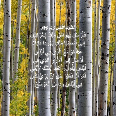 Picture 04 - اَلْمُلُوكِ ٱلثَّانِي 14:9 AVD - فَأَرْسَلَ يَهُوآشُ - Bible Verse Picture