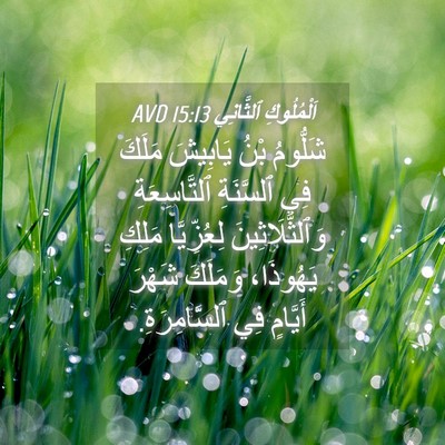 Picture 04 - اَلْمُلُوكِ ٱلثَّانِي 15:13 AVD - شَلُّومُ بْنُ يَابِيشَ - Bible Verse Picture