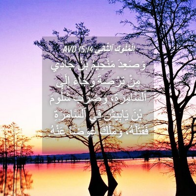 Picture 04 - اَلْمُلُوكِ ٱلثَّانِي 15:14 AVD - وَصَعِدَ مَنَحِيمُ بْنُ - Bible Verse Picture