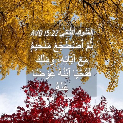 Picture 04 - اَلْمُلُوكِ ٱلثَّانِي 15:22 AVD - ثُمَّ ٱضْطَجَعَ مَنَحِيمُ - Bible Verse Picture