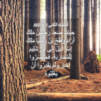 Picture 04 - اَلْمُلُوكِ ٱلثَّانِي 16:5 AVD - حِينَئِذٍ صَعِدَ رَصِينُ - Bible Verse Picture