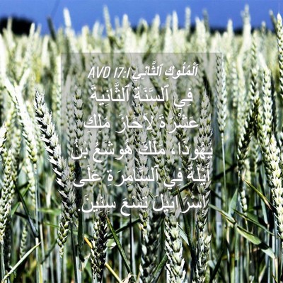 Picture 04 - اَلْمُلُوكِ ٱلثَّانِي 17:1 AVD - فِي ٱلسَّنَةِ ٱلثَّانِيةَ - Bible Verse Picture