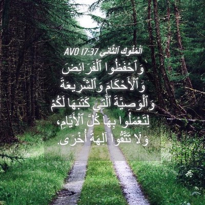 Picture 04 - اَلْمُلُوكِ ٱلثَّانِي 17:37 AVD - وَٱحْفَظُوا ٱلْفَرَائِضَ - Bible Verse Picture
